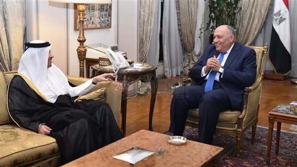 سامح شكري ونظيره