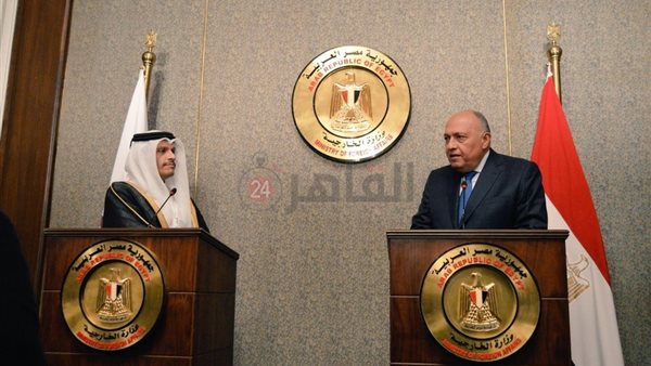 وزيرا خارجية مصر