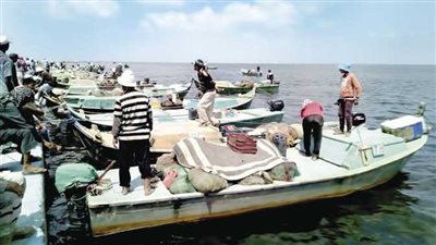 الثروة السمكية ترفع بدل عضو مجلس إدارة الجمعية التعاونية لصائدي الأسماك بكبريت لـ3 آلاف جنيه