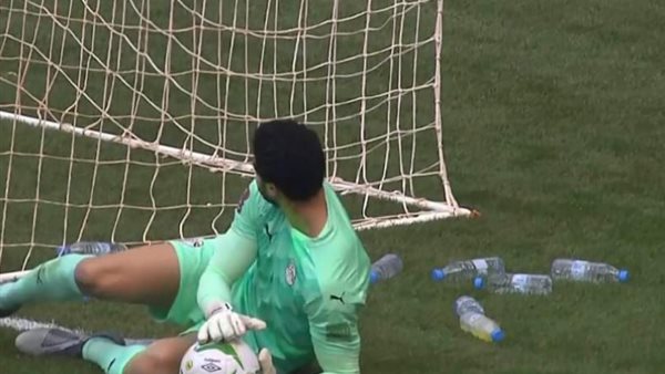 محمد الشناوي 