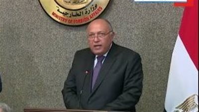 وزير الخارجية: القضية الفلسطينية والقضاء على الإرهاب ضمن أولويات المباحثات بين مصر والسعودية