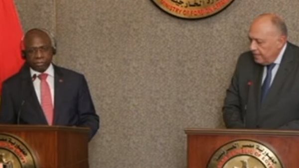 سامح شكري ونظيره