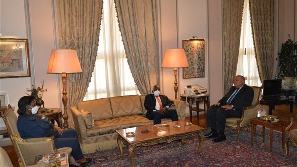 سامح شكري ونظيره