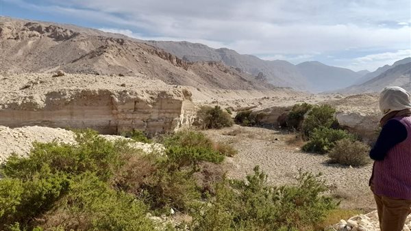 محمية الدبابية 