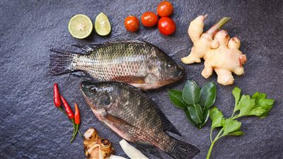 الجمبري بـ 160 جنيها للكيلو والطماطم بـ 10.. تعرف على أسعار الأسماك والخضروات بالأسواق | بث مباشر 