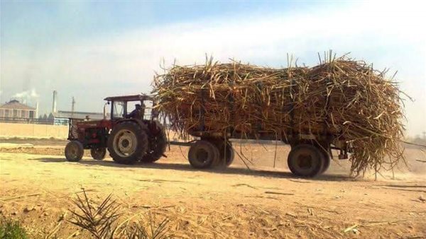 جرار محمل بالقصب