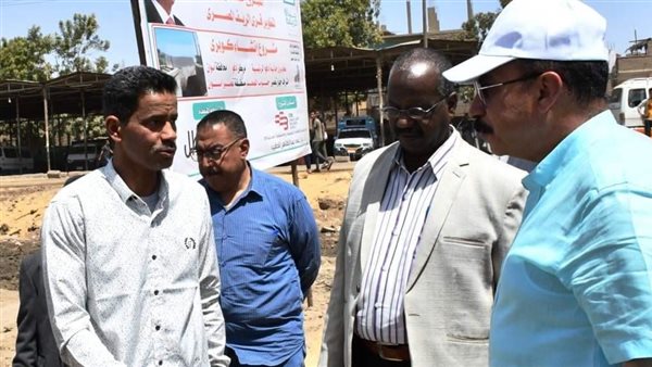 محافظ أسوان