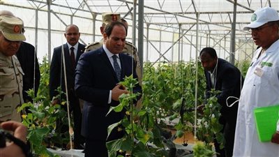 مستشار مشروع الصوب الزراعية: نهدف إلى التصدير والمنافسة في الأسواق الأوروبية