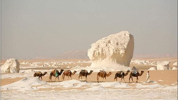 الصحراء البيضاء 