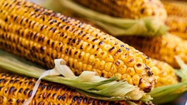 الذرة الصفراء 