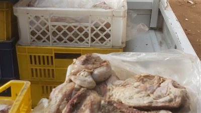 ضبط 8 أطنان لحوم ودواجن غير صالحة للاستخدام الآدمي في إمبابة