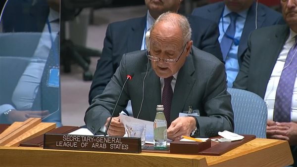 أحمد أبو الغيط أمين