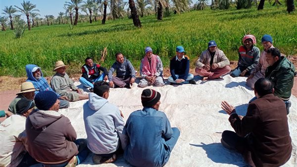 مدارس حقلية