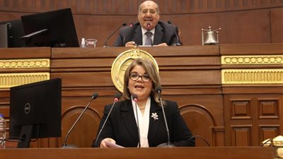 وكيل الشيوخ: عدد الأحزاب في مصر يفوق طاقة المنظومة السياسية.. ودورنا مكمل لمجلس النواب | حوار 