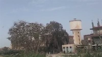 ارتفاع شديد بدرجات الحرارة نهارًا بكفر الشيخ وطقس معتدل ليلًا | بث مباشر