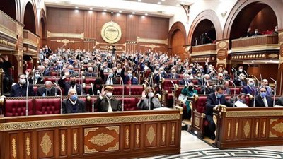 وكيل الشيوخ يدعو الأعضاء بتقديم مقترحات تشكيل اللجان النوعية ويرفع الجلسة