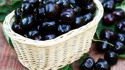 المساعدة على النوم وحماية العينين... فوائد الكرز الأسود للجسم