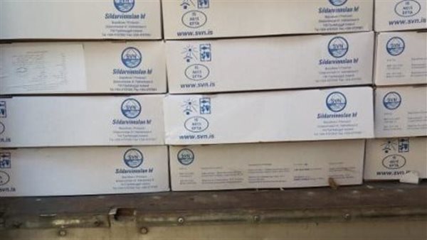 الأسماك المضبوطة