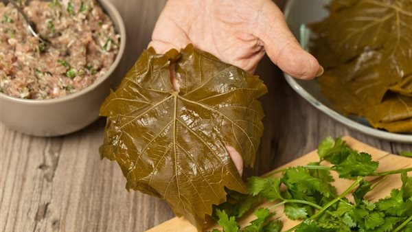 سعر ورق العنب