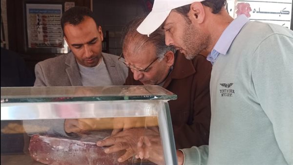 حملات تموينية مكبرة