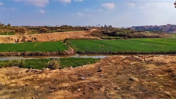 الفيوم.. تصوير إيمان