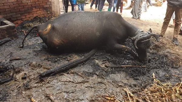 السيطرة على النيران