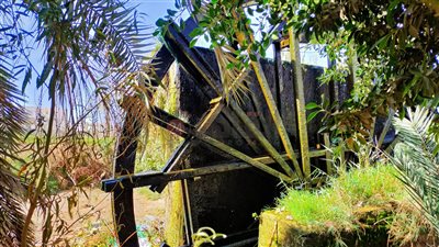 ارتفاع شديد بدرجات الحرارة في خامس أيام شهر رمضان.. والعُظمى 40 مئوية