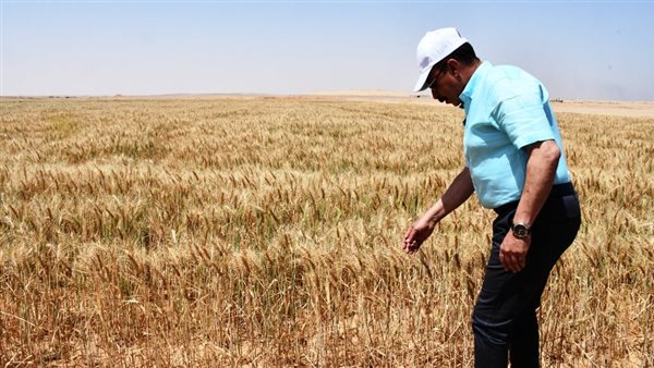 محافظ أسوان