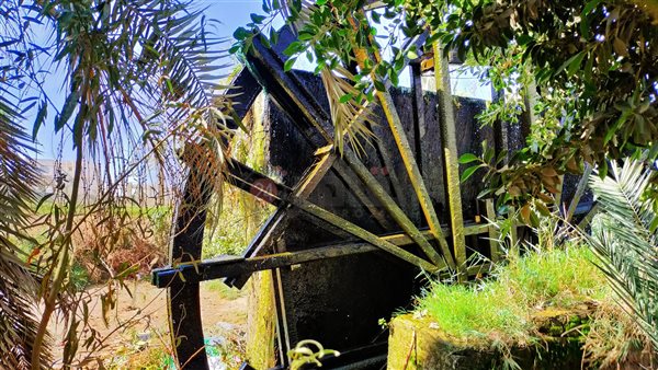 الفيوم.. تصوير: إيمان