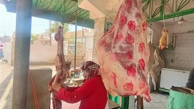 إعدام 31 كيلو أغذية تالفة وتحرير 31 مخالفة تموينية بالدقهلية 