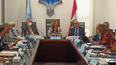 السفير فهمي فايد أمينا عاما للمجلس القومي لحقوق الإنسان