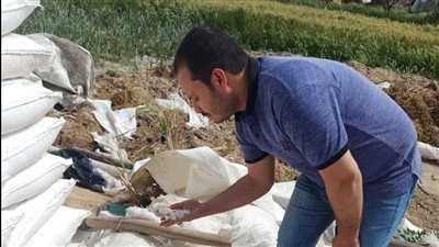 ضبط 10 أطنان ملح فاسد داخل مصنع ألبان دون ترخيص بالبحيرة