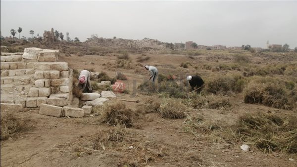 أعمال مكافحة الحشائش