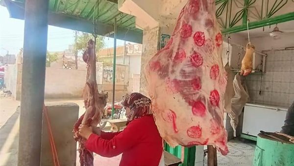 فحص الأغذية خلال