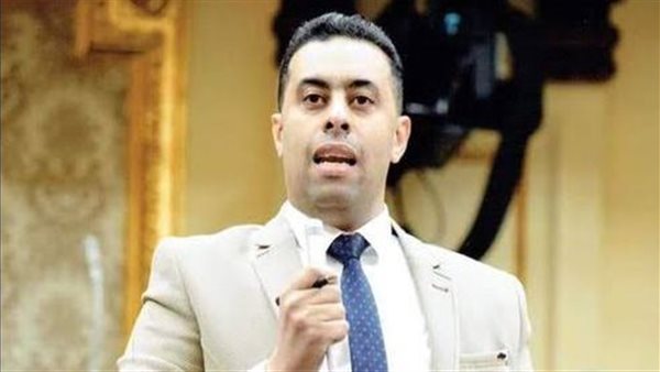 النائب أحمد فرغلي