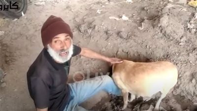 ضحية الإنسانية.. عم عباس فقد وظيفته لإطعامه كلاب الشوارع │ فيديو