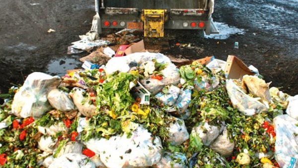 هدر الطعام في مصر