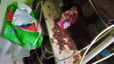 غلق وتشميع مركز طبي شهير للأشعة وعيادة نساء وتوليد بسوهاج