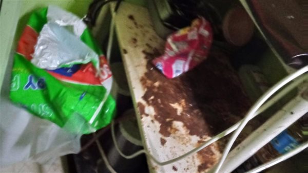 ضبط عيادة غير آدمية