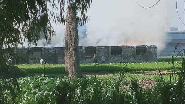 صورة أرشيفية