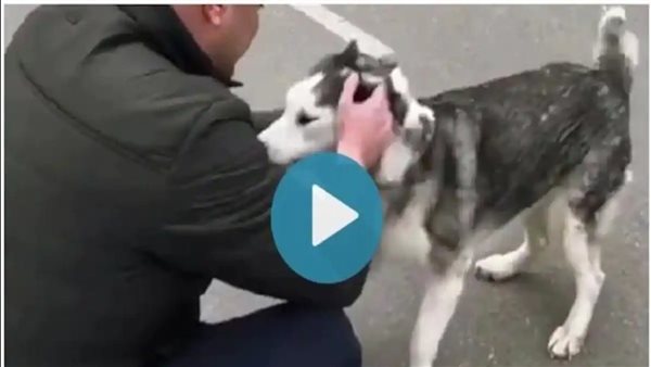 لقطة من الفيديو