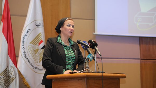 ياسمين فؤاد وزيرة