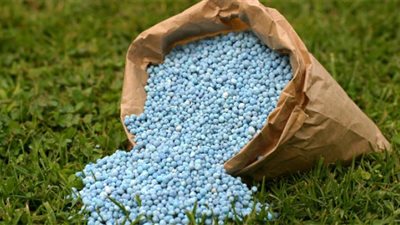 عبد السلام الجبلي: لدينا فرصة لتصدير 50% من الأسمدة لتوفير العملة الصعبة