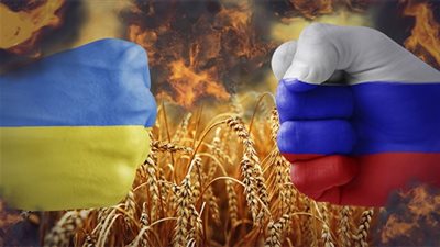 أولوية لتوفير الأمن الغذائي.. كيف تتخطى مصر تداعيات أزمة الحرب الروسية الأوكرانية؟