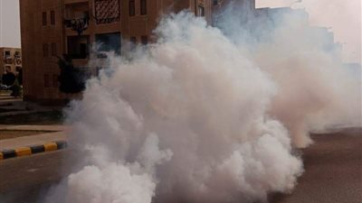  تعرف على خطة مديرية الصحة بالقليوبية لمكافحة الذباب وناقلات الأمراض بعد انتشارها