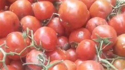 بث مباشر| ثبات أسعار الطيور وانخفاض ملحوظ في سعر الخضروات والفاكهة اليوم بالأسواق