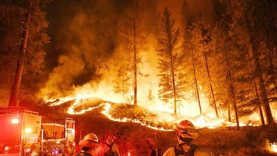 مستمر منذ أيام.. حريق غابات في كوريا الشمالية يلتهم مئات الهكتارات 