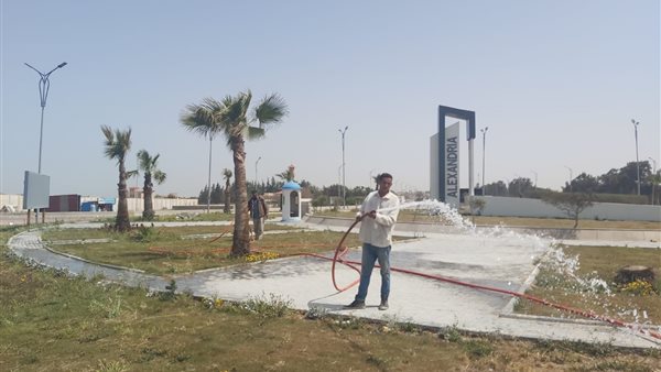 تنظيف حدائق الإسكندرية