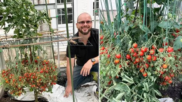 البريطاني دوجلاس