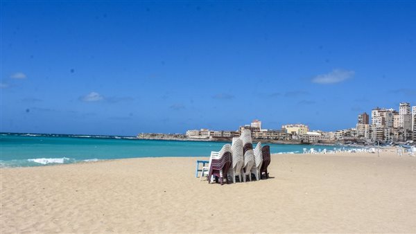 محافظ الإسكندرية